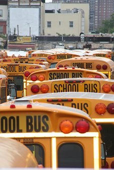 School Bus, America, Vehicles School Bus, America, Vehicles, School