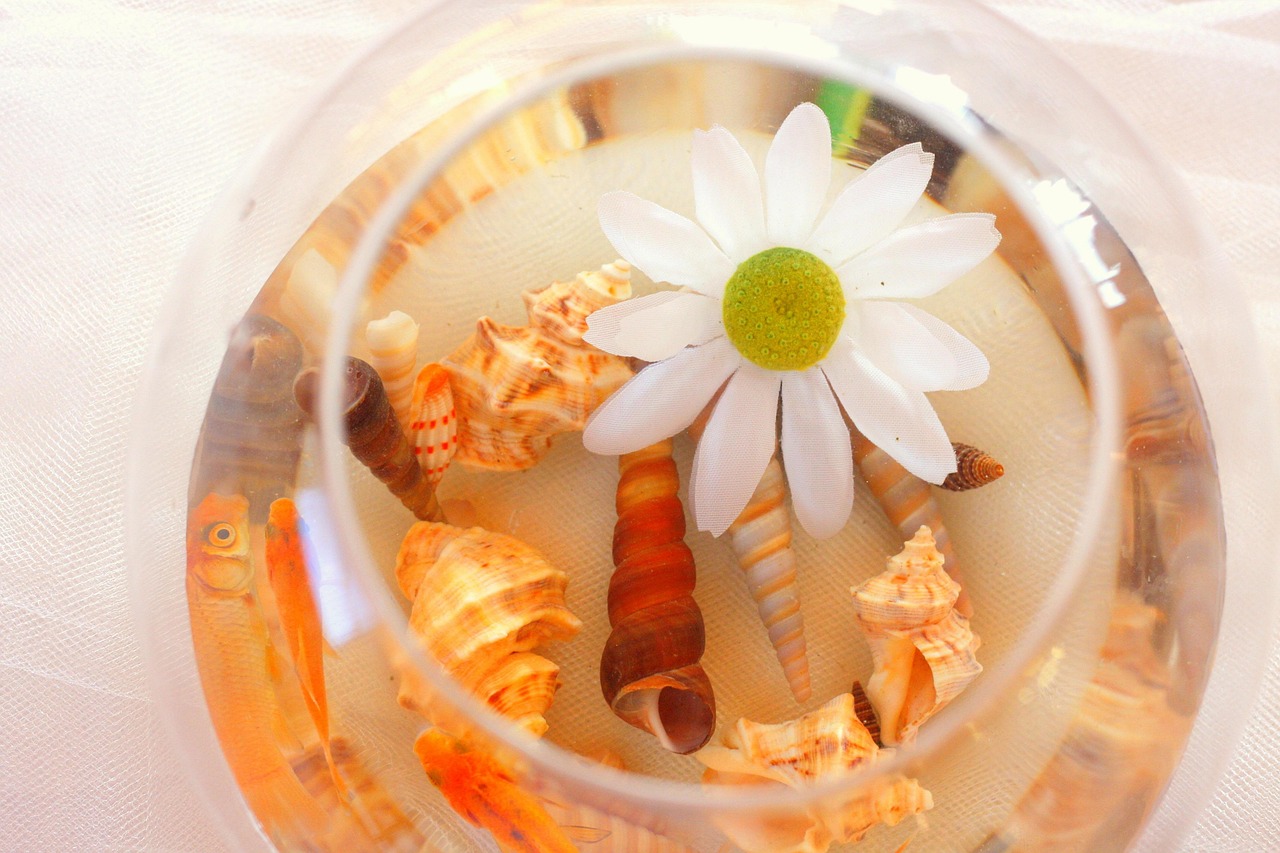 Ракушка для цветов Ракушка для цветов