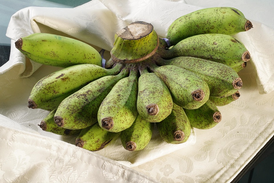 Variante del platano "Rublo" , Come cucinare e preparare il platano fritto