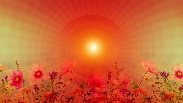 🖼