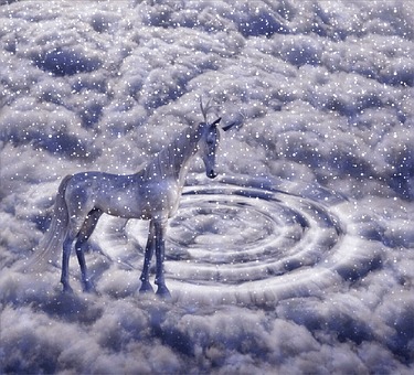 Darling, Snow, Clouds, Horse