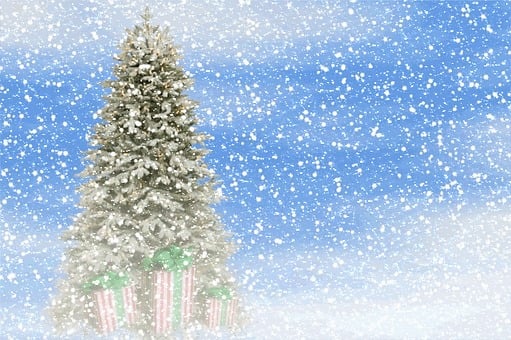 Christmas Tree, Snow, Landscape, Gifts