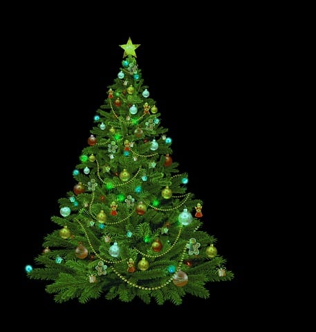Kerstboom
