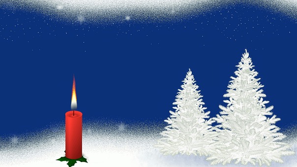 Winter, Snow, Candle, Tree, Christmas