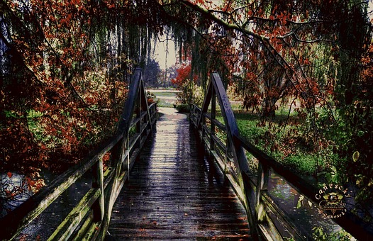 Naturaleza, Agua, Jardinería