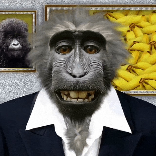 Monkey Rit 10+ Free Celebrity Birthdays & Celebration animated GIFs and Stickers ...
