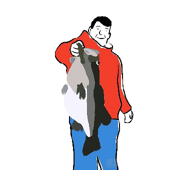 Fishing, Fisherman, Man, Big Fish, Hobby