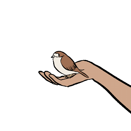 手 手指 人们 - Pixabay 上的免费 GIF 动图