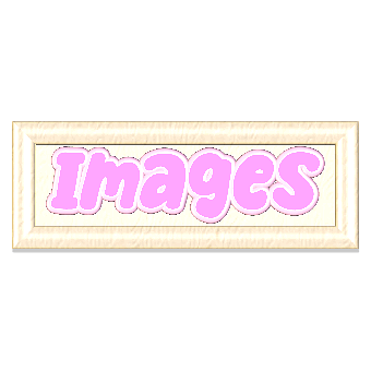 Images, Button, Text, Pink, Rectangle