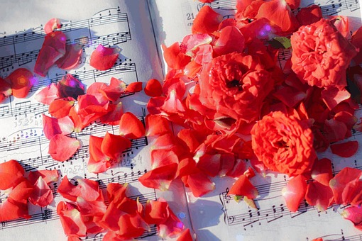 Red roses and scattered petals lie gracefully across sheet music, glistening with soft light and sparkles. This romantic and artistic composition evokes passion, music, and timeless beauty — perfect for love, emotion, and creative inspiration.
