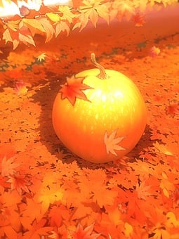 Pumpkin, Case, Autumn Leaves