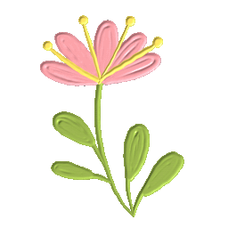 花 有天赋的人 盛开 - Pixabay 上的免费 GIF 动图 - Pixabay