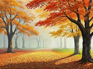 秋天 秋季比赛 落下 - Pixabay 上的免费 GIF 动图