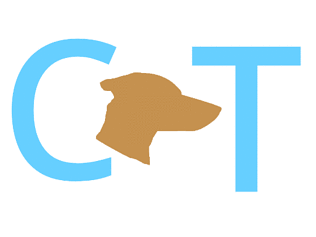 Cachorro, Bicho De Estimação, Animal