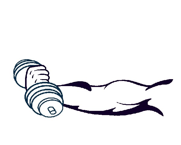 Gif Animata Allenamento Gif Animata Allenamento