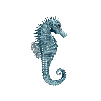 Seahorse, Nature, Sea, Wavy, Sea Animals