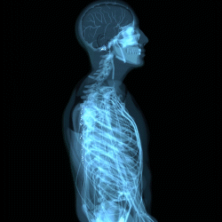 Medical Device Localization