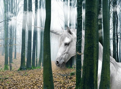 Unicorn, Fantasy, Forrest, Trees, Haze