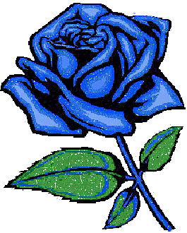 Flower, Nature, Beautiful, Gif, Colors