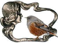 Bird Gif, Nature, Fantasy, Bird, Spring