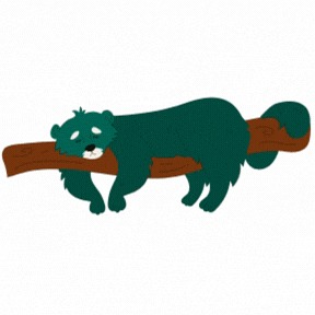 Gato Oso, Dibujos Animados, Dormido
