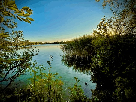 Agua, Natureza, Lago, Floresta, Panorama