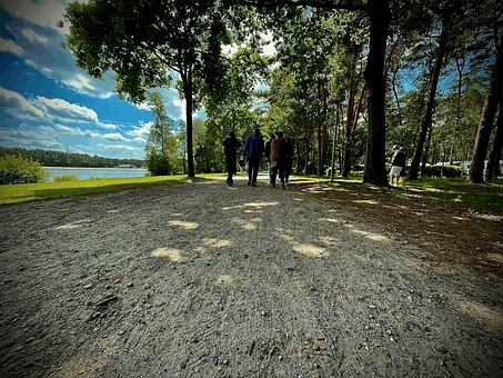 Andando, Pessoas, Natureza, Sombra