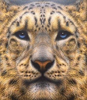 Tiger, Vild Kat, Dyr, Tegning, Kunst