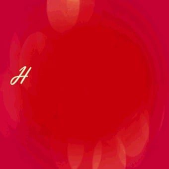 Rosa, Valentinstag, Herz, Gif, Liebe