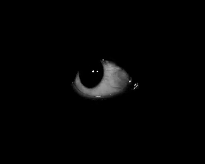it pretty creeeeeeeeeeepy