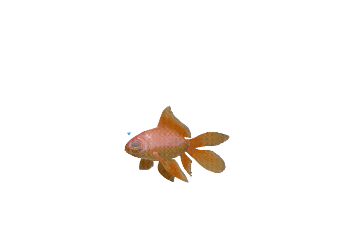 Ikan, Berenang, Ikan Mas, Alam, Akuarium