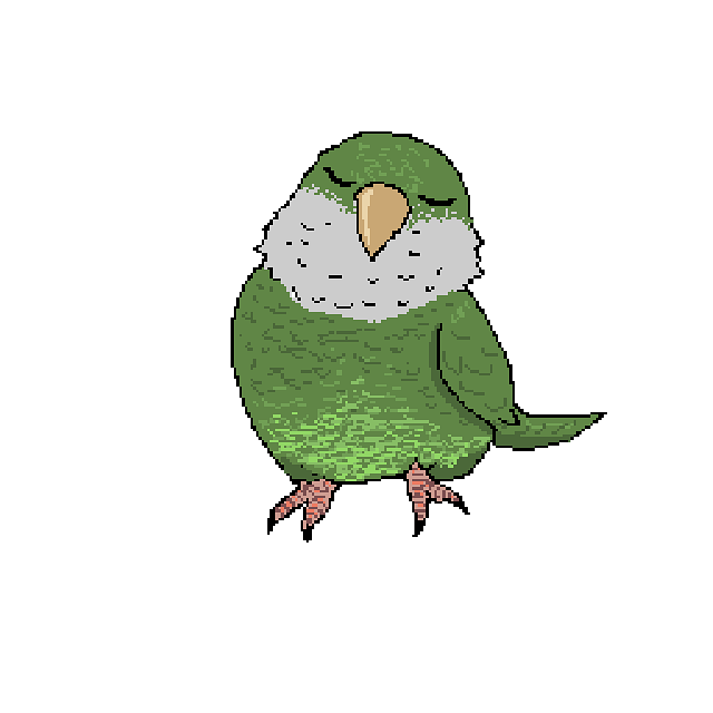 Parrot, Bird, Green, Pixel, Quaker
