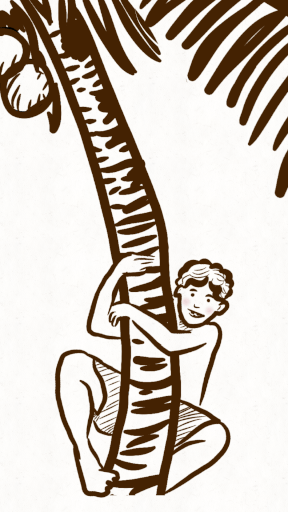 Coconut Tree Rural - Free GIF on Pixabay