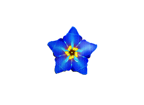 Floral, Flower, Blue, Spin, Loop, Wave