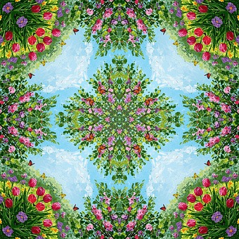Spring, Flowers, Butterflies, Colors