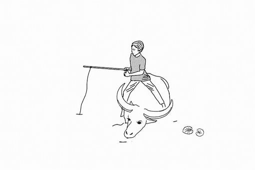 Cowboy, Buffalo, Field, Fishing