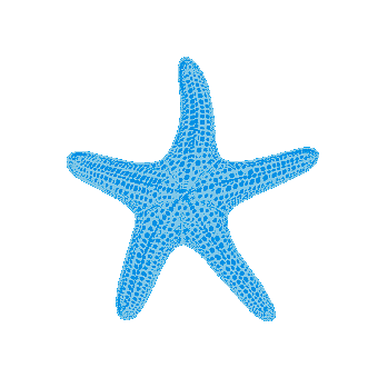 Starfish, Beach, Sea, Ocean, Marine, Life, Nature, Ecosystem