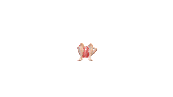 SIT UPS GIF