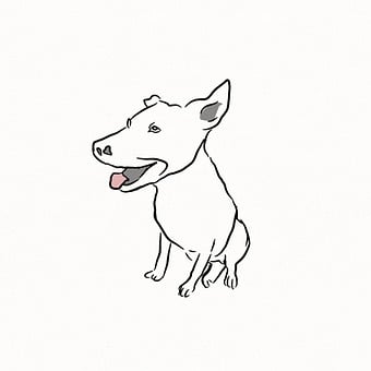 Hund, Dyr, Kæledyr, Ledig
