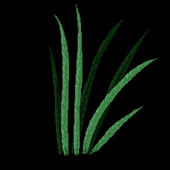 Grass, Pixel Art, Loop, Windy, Air, Weed
