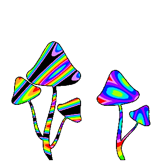 Mushrooms, Fungi, Colorful, Retro