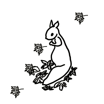 Squirrel, Animal, Leaf, Falling