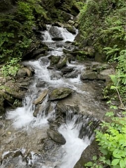 Cinemagraph, Creek, River, Water, Loop