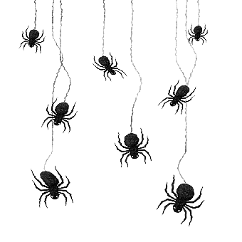 Spiders, Arachnid, Cobweb, Hanging, Wiggle, Swing, Jitter