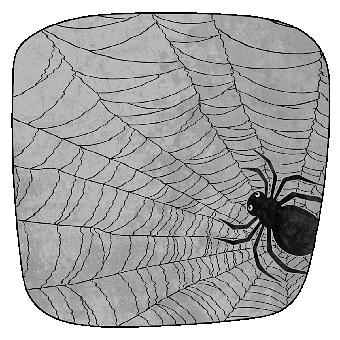 Spider, Arachnid, Cobweb, Web, Running, Walking, Scary