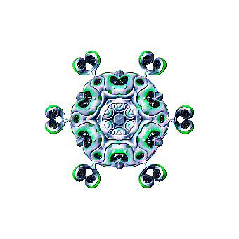Pattern, Floral, Symmetry
