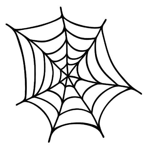 Blingstars Spiderweb Die Cut Vinyl Decal - 5x5 Black - For Car Window, Laptop, Wall (S3722)