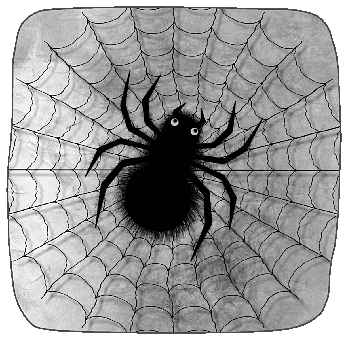 Spider, Arachnid, Cobweb, Web, Black, Hairy, Furry, Big