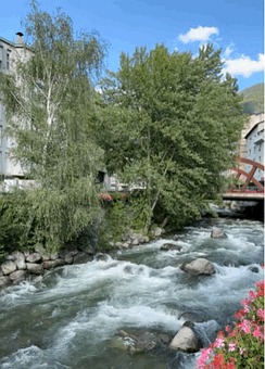 River, Flowing Water, Bridge, Trees