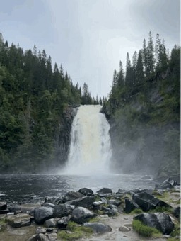 Waterfall, Forest, Nature, Tall, Lush